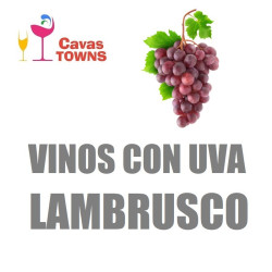 Vinos Con Uva Lambrusco - Cavas Towns