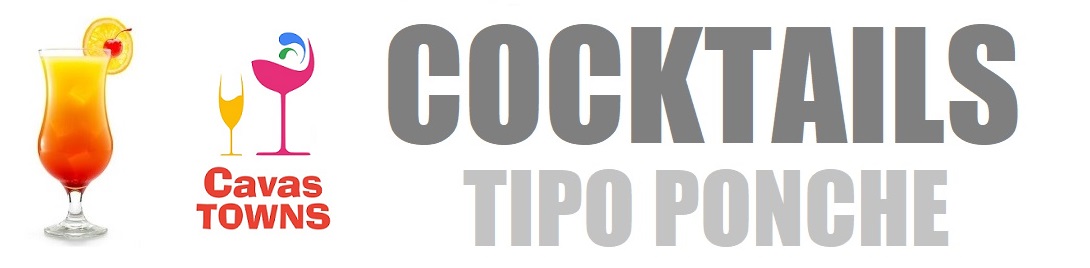Cocktails Tipo Ponche